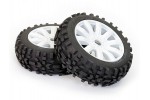 Fastrax 1:8 Grator Mounted On 10-Spoke White (pr)