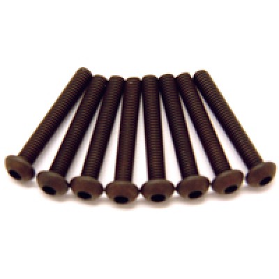 Fastrax M3 X 6 Dome Head SCrews(6)