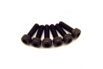 Fastrax M3 X 6 Socket Cap Head SCrews (6)