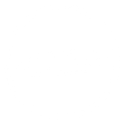 Team Associated Option Parts