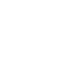 Team Losi Option Parts
