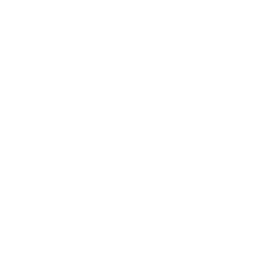 Mugen Option Parts